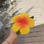 🌺 Букет хибискуси от плюшена тел - 22.08 - Image 5