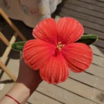 🌺 Букет хибискуси от плюшена тел - 22.08 - Image 2