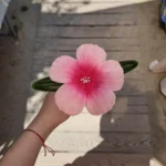 🌺 Букет хибискуси от плюшена тел - 22.08 - Image 3